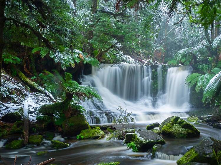 Mount Field National Park