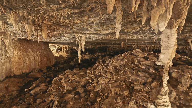 Mole Creek Caves