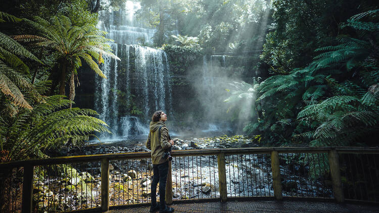 View of Russell Falls