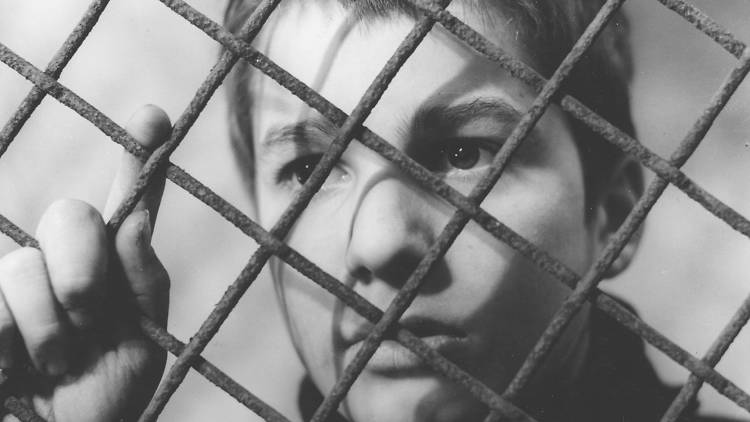 The 400 Blows (1959)