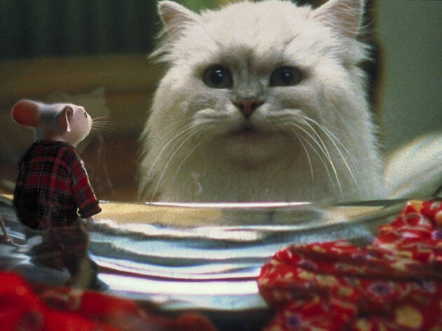 Pelusa de Stuart Little Pelusa de Stuart Little