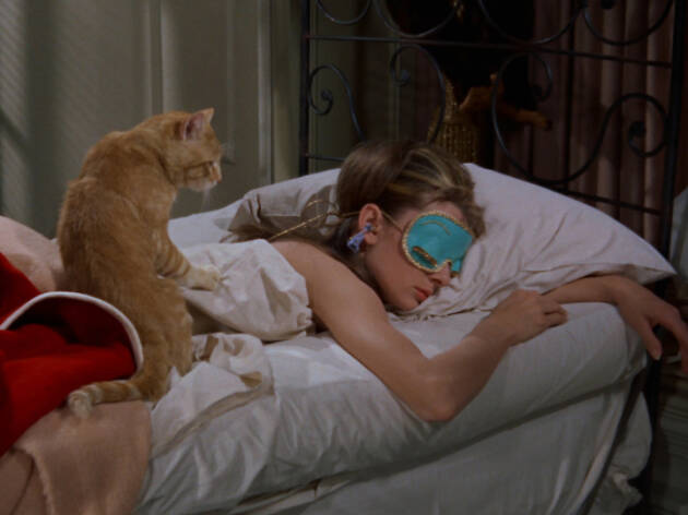 El gato sin nombre de Holly Golightly en Desayuno con Diamantes El gato sin nombre de Holly Golightly en Desayuno con Diamantes