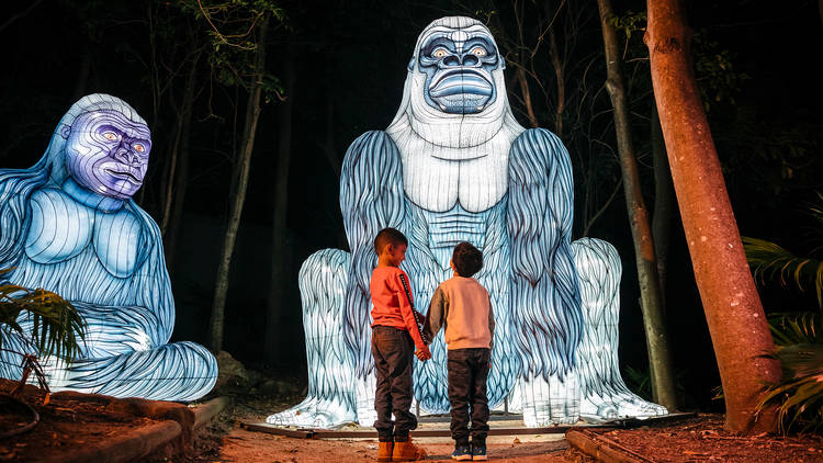 Children enjoying an interaction with the Gorilla light lanterns at Taronga Zoo, Vivid Sydney 2019.