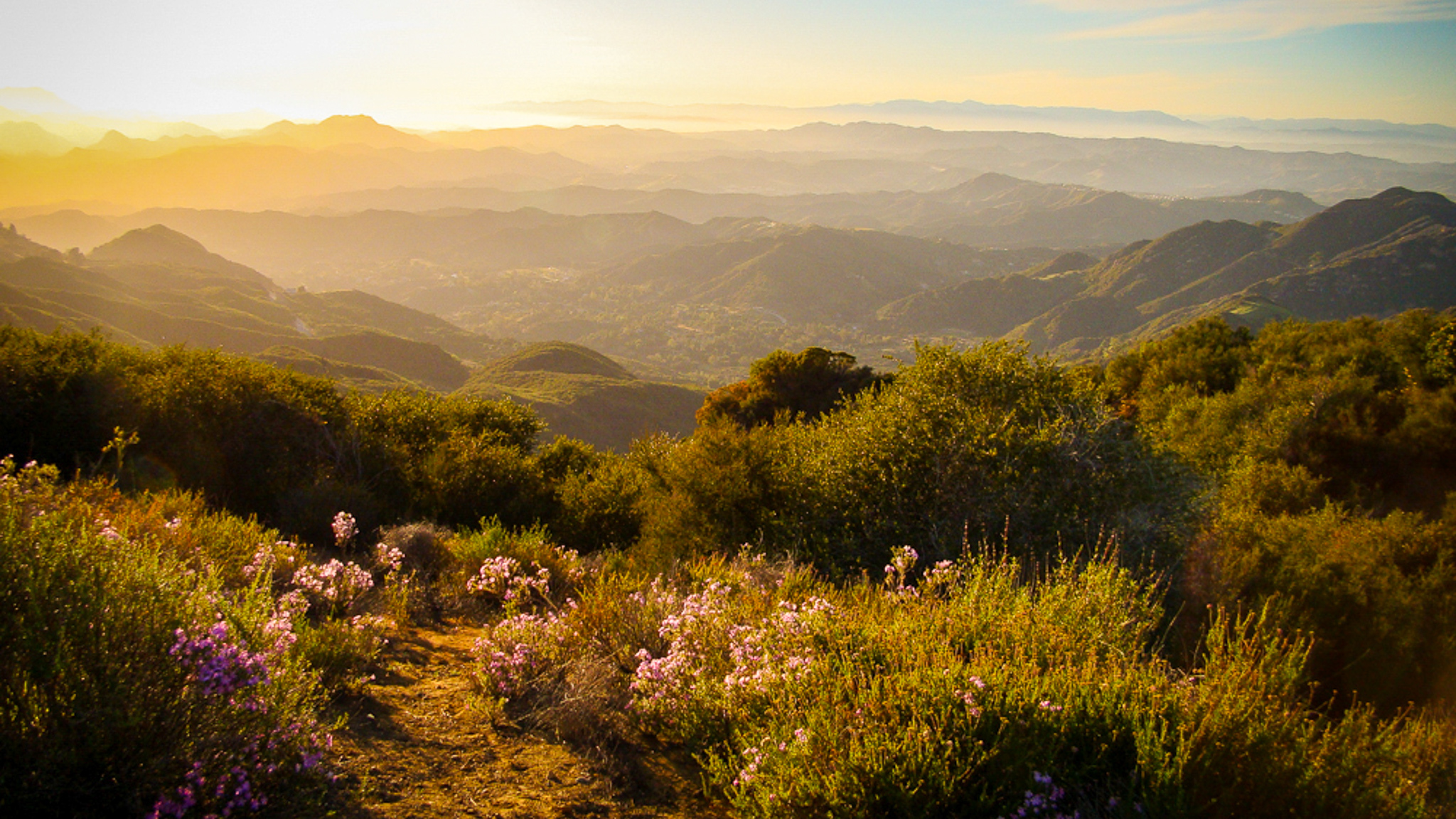 Guide To Memorial Day 2021 In Los Angeles