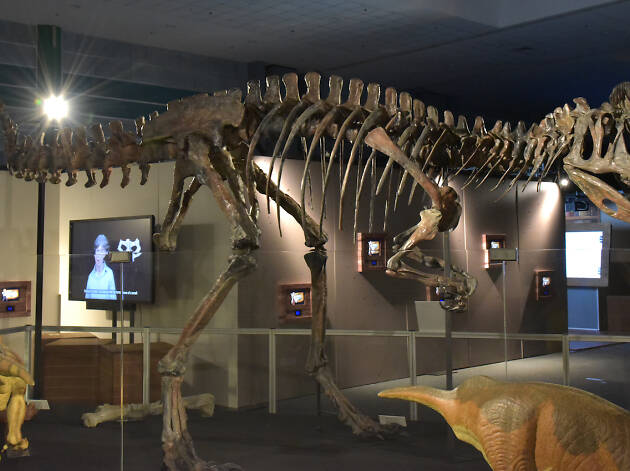 Dinoquest Dinoquest
