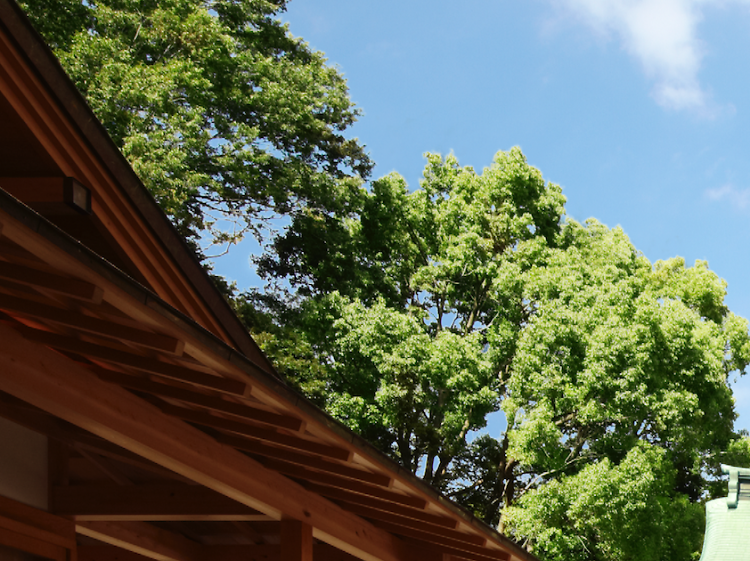 川越氷川神社