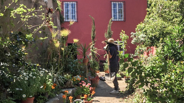 Jardim do Beco do Monte