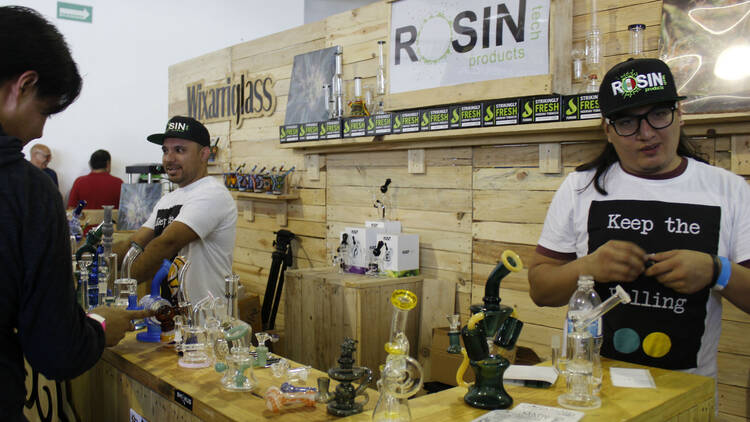 Expoweed llega a Expo reforma del 30 de agosto al 1 de septiembre