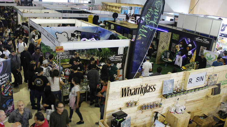 Expoweed (Foto: Eduardo Ávila)