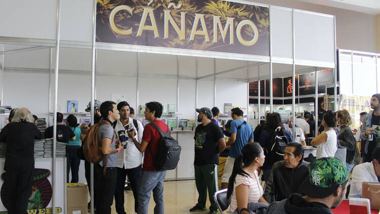 Expoweed (Foto: Eduardo Ávila)