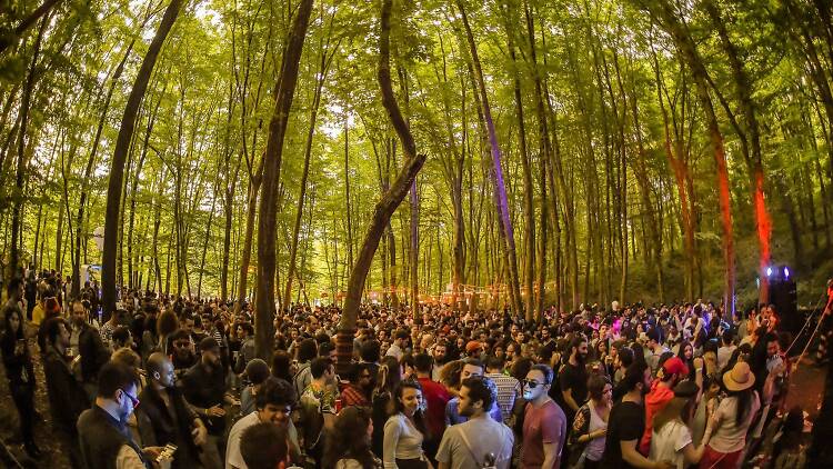 Chill - Out Festival