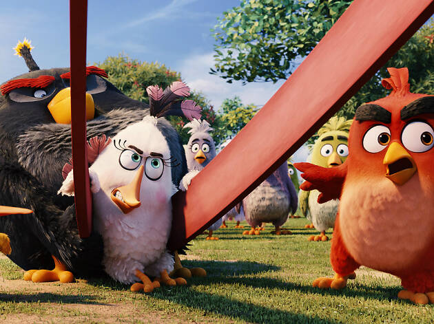 Angry Birds, la película Angry Birds, la película