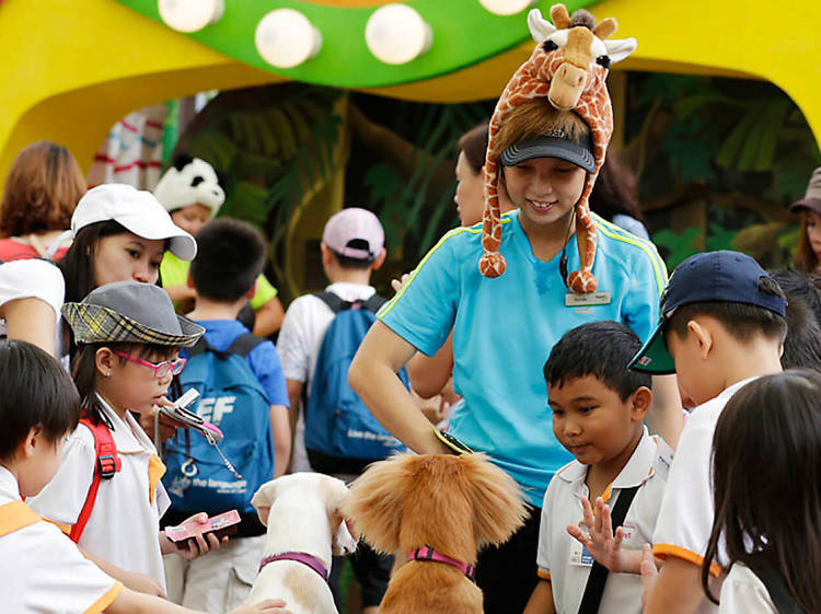 Pat critters at Rainforest Kidzworld