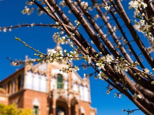 Recinte Modernista Sant Pau Recinte Modernista Sant Pau