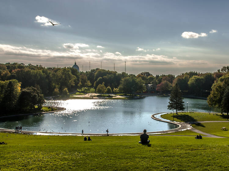 Mount Royal