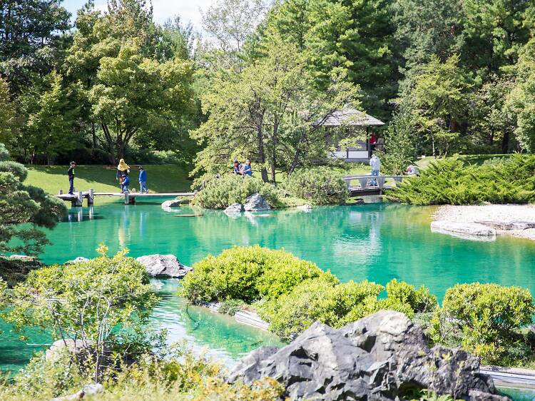 Jardin Botanique de Montréal