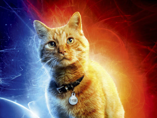 Goose de Capitana Marvel Goose de Capitana Marvel