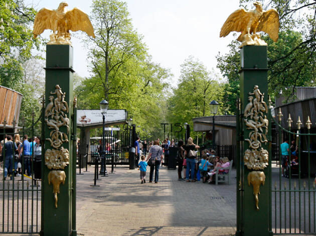 Zoològic de Artis Zoològic de Artis