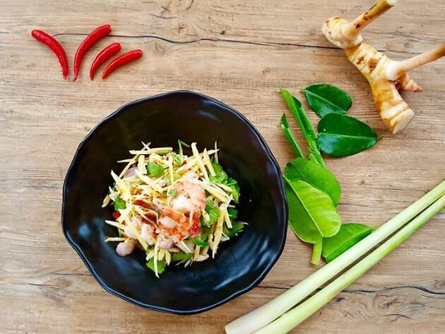 coconuts thai bar and grill coconuts thai bar and grill