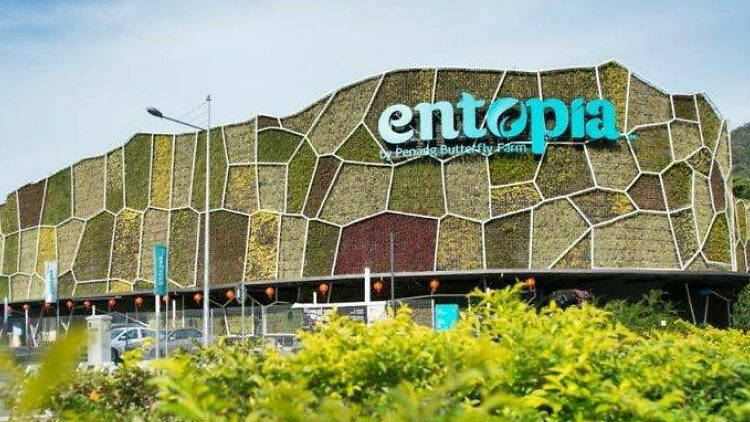 Entopia