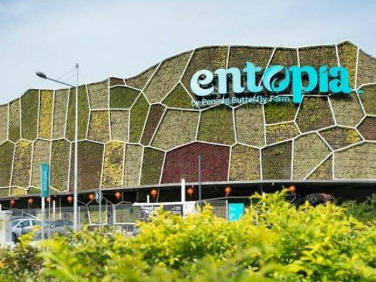 Entopia