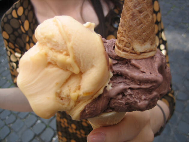 Gelat Gelat