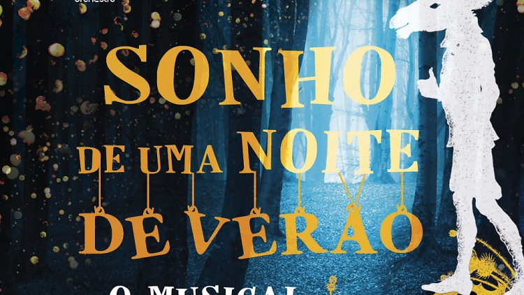 sonho de uma noite de verão dia da criança
