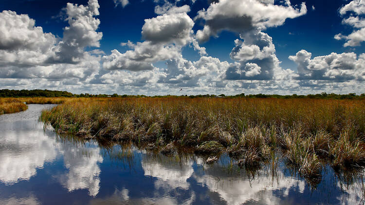 Súbete a un tour en bote por el Parque Nacional de los Everglades