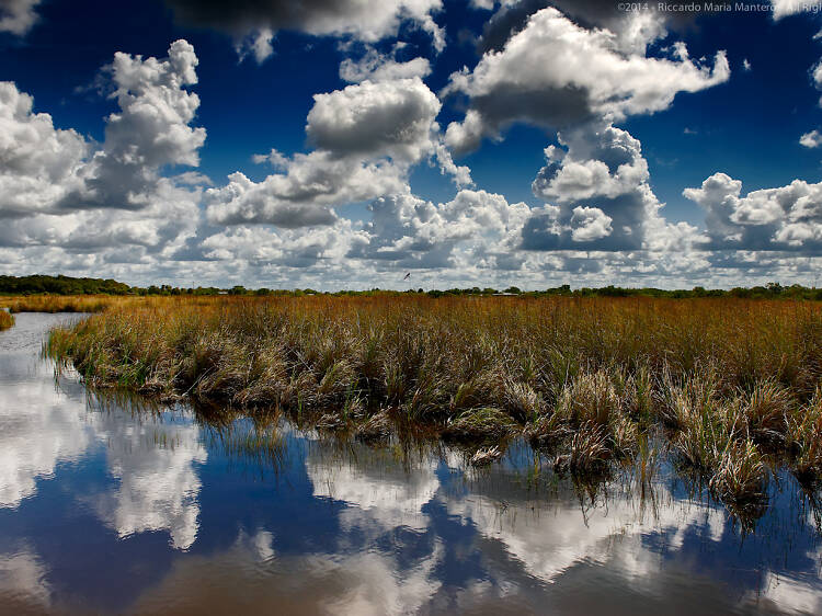 Súbete a un tour en bote por el Parque Nacional de los Everglades