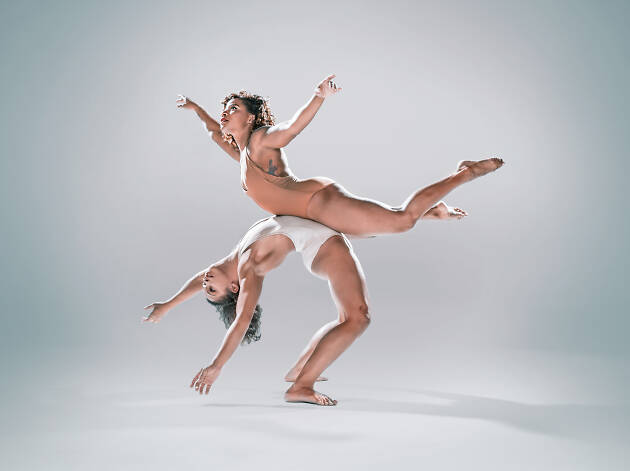 Pilobolus Pilobolus