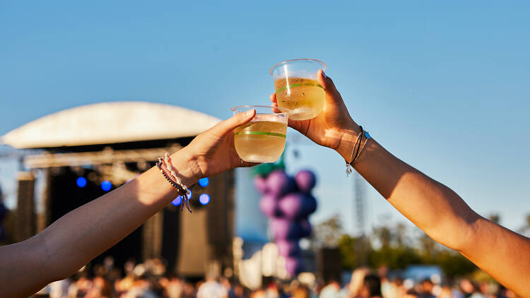 Grapevine Festival press shot