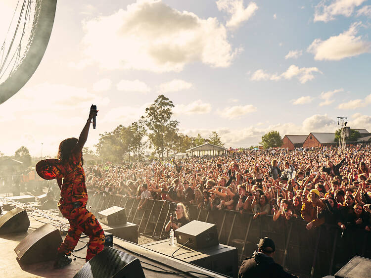 Grapevine Festival press shot