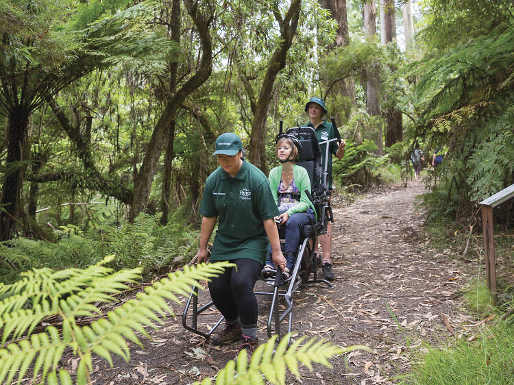 Dandenong Ranges National Park