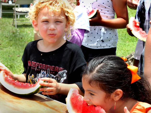 Redland Summer Fruit Festival Redland Summer Fruit Festival