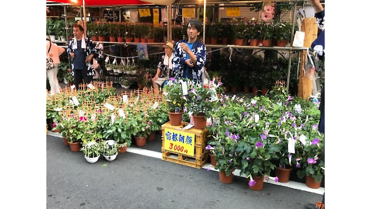 入谷朝顔祭り