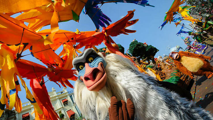 Be swept up in a spectacular seasonal event