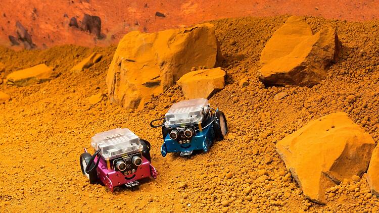 Two space rovers on a man-made Mars surface 