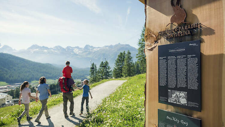 1. Explore the Pontresina Ibex Paradise