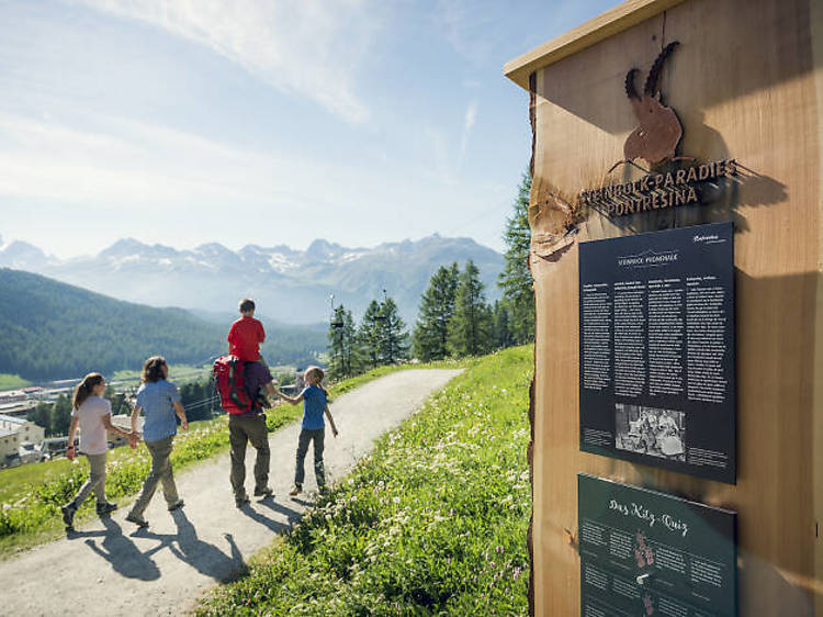 1. Explore the Pontresina Ibex Paradise