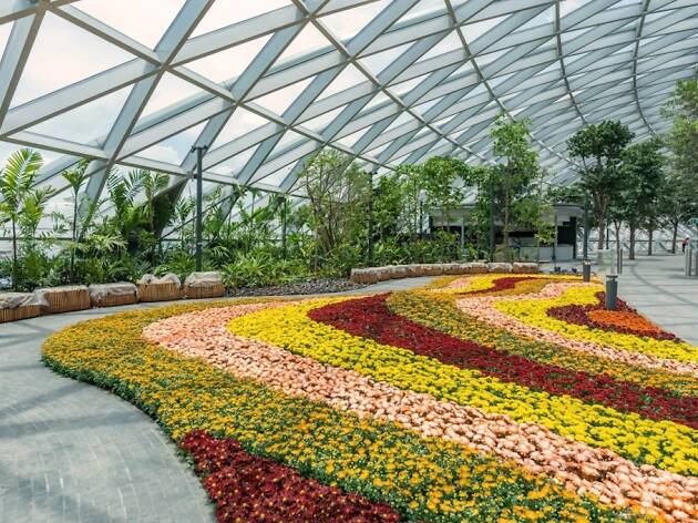 Petal Garden, Jewel Changi Airport Petal Garden, Jewel Changi Airport