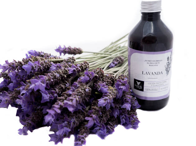 Loción de lavanda Loción de lavanda para perros, de Mummus & Soy Sauce