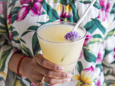 Butcher's Daughter-juice slushies at the Waterfront Butcher's Daughter-juice slushies at the Waterfront