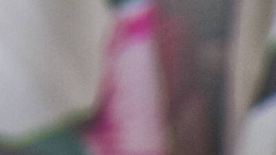 Butcher's Daughter-juice slushies at the Waterfront Butcher's Daughter-juice slushies at the Waterfront