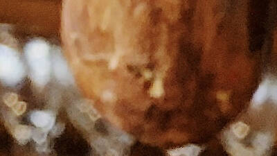 Frozen beer at Chao Krung Frozen beer at Chao Krung