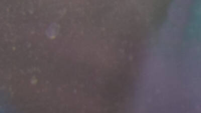 Frozen flights at High Tide Frozen flights at High Tide