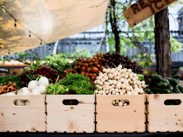 The best farmers’ markets in Montreal to explore and savor right now