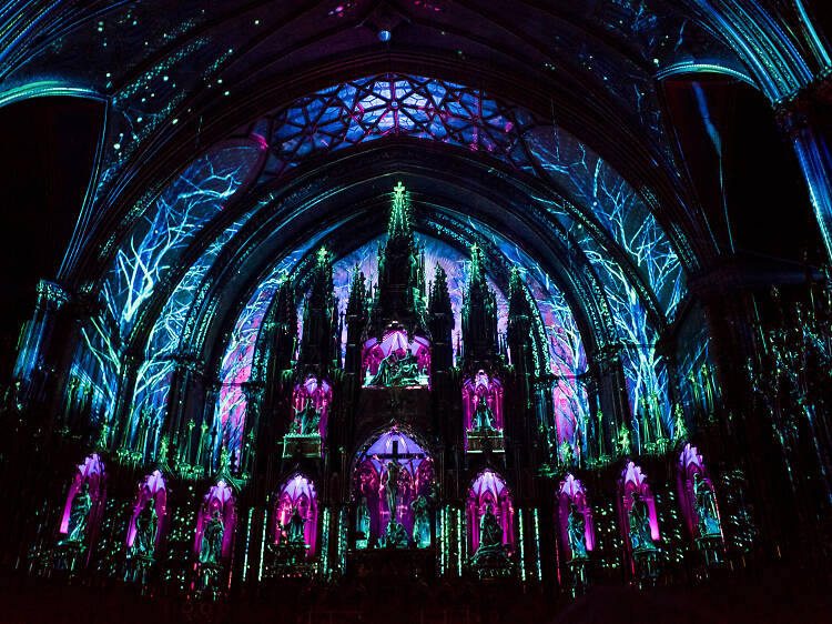 See the lights at the Notre-Dame Basilica