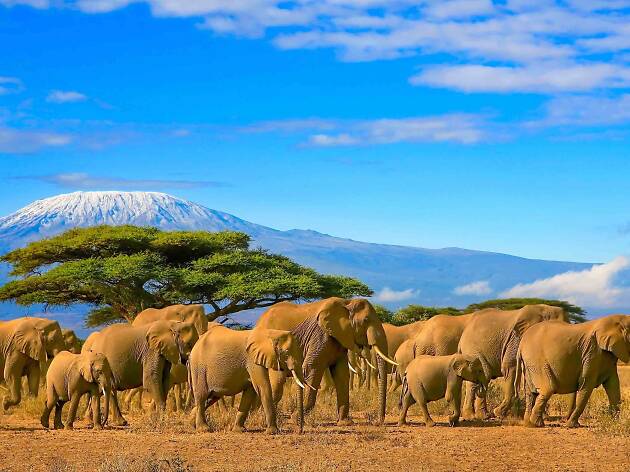 Tanzania Tanzania