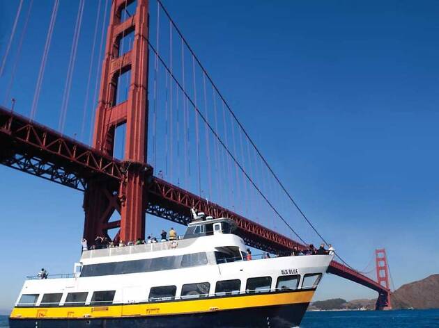 Blue and Gold fleet Blue and Gold fleet under the Golden Gate Bridge