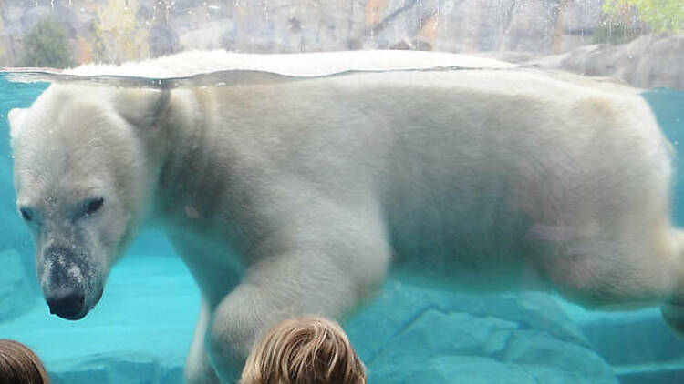 Brookfield Zoo